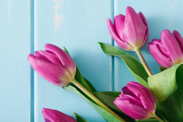 Tulipani viola su sfondo di legno blu, spazio copia — Foto Stock