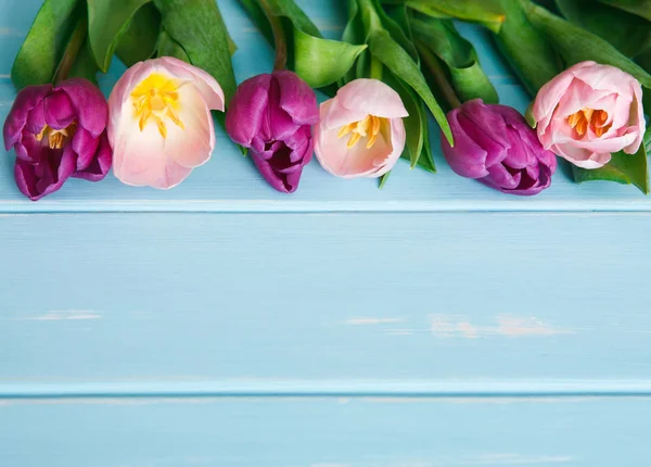 Tulipanes rosados sobre fondo de madera azul, espacio para copiar —  Fotos de Stock