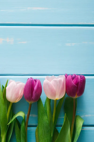 Рожеві тюльпани на фоні синього дерева, копіювання простору — стокове фото