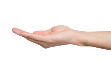 Beyaz izole palmiye açık tutan adam