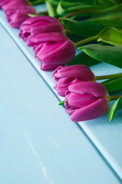 Flores fundo, Violeta tulipas em madeira azul, espaço de cópia — Fotografia de Stock