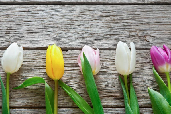Цветные тюльпаны на деревенском фоне, пространство для копирования — стоковое фото