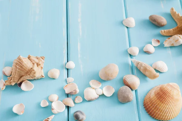 Conchas de mar en madera azul, fondo de vacaciones de mar — Foto de Stock