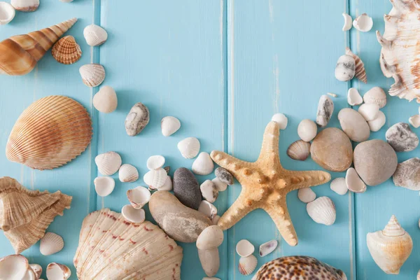 Conchas de mar en madera azul, fondo de vacaciones de mar — Foto de Stock