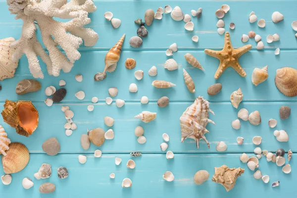 Seashells em madeira azul, fundo de férias mar — Fotografia de Stock