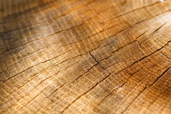 Natural wood texture closeup with split crack Royalty Free Stock Photos