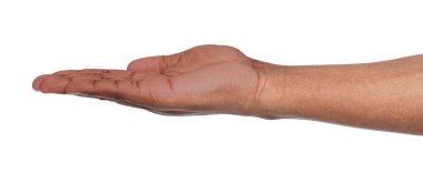 Beyaz izole palmiye açık tutan adam