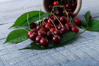 Mavi rustik ahşap üzerine yeşil yaprakları ile taze kiraz