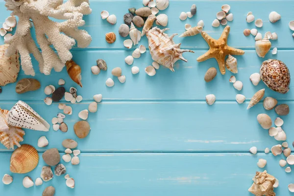 Conchas de mar en madera azul, fondo de vacaciones de mar — Foto de Stock