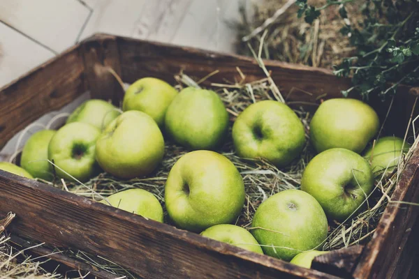 Carton box with apples harvest in fall garden