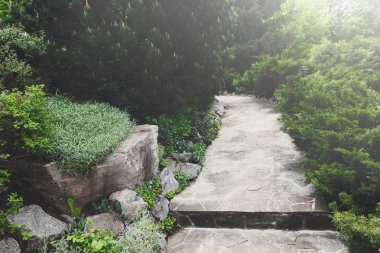 Peyzaj tasarımı, yaprak dökmeyen çalılar ve yol