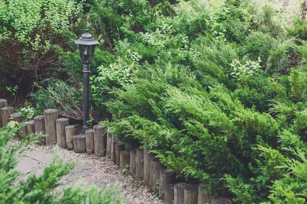 조 경 디자인, 상록 관목 및 경로 — 스톡 사진