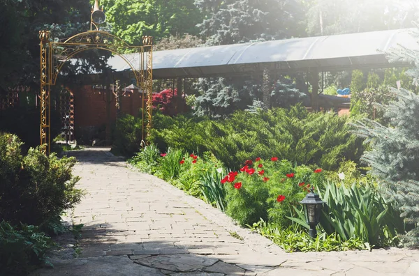 Tulipani in giardino, progettazione del paesaggio . — Foto Stock