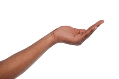 Beyaz izole palmiye açık tutan adam