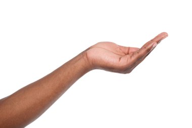 Beyaz izole palmiye açık tutan adam