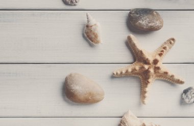 Beyaz tahta, deniz tatil arka plan üzerinde kabukları