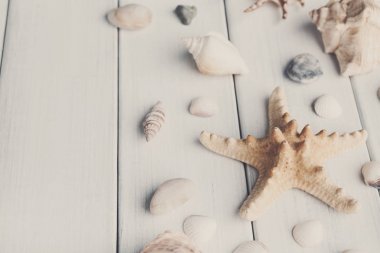 Beyaz tahta, deniz tatil arka plan üzerinde kabukları