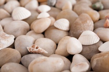 Deniz arka plan, deniz kıyısı taş çakıl