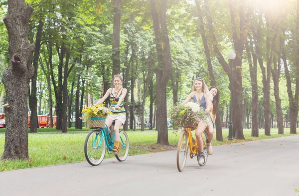 Boldog boho sikkes lányok együtt lovagolni kerékpárok park — Stock Fotó