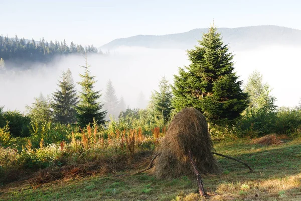 Ochtend in de heuvels van de berg, landschap-achtergrond — Stockfoto