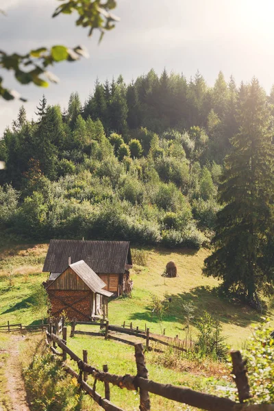 Сельский пейзаж при солнечном свете, фон — стоковое фото