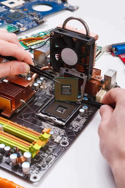 Enchufe técnico en microprocesador a placa base — Foto de Stock