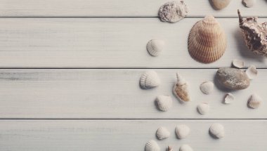 Beyaz tahta, deniz tatil arka plan üzerinde kabukları