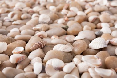 Deniz arka plan, deniz kıyısı taş çakıl