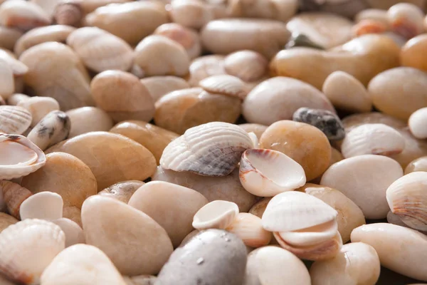 Sea pebbles background, natural seashore stones — Stock Photo, Image