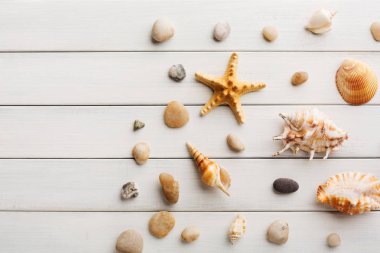 Beyaz tahta, deniz tatil arka plan üzerinde kabukları