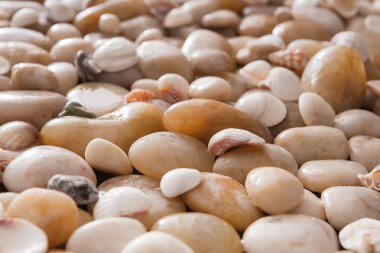 Deniz arka plan, deniz kıyısı taş çakıl