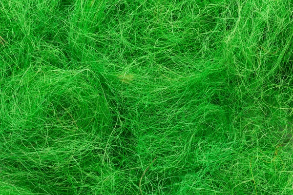 Green felted wool texture close-up