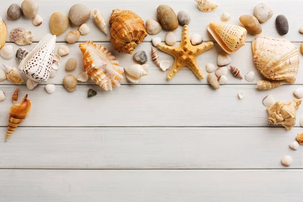 Seashells em madeira branca, fundo férias mar — Fotografia de Stock