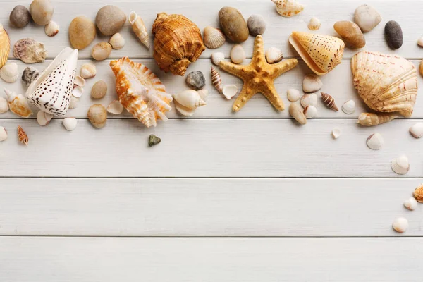 Seashells em madeira branca, fundo férias mar — Fotografia de Stock