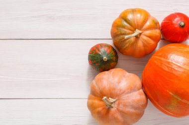 Beyaz tahta arka plan ile kopya alanı üzerinde kabaklar