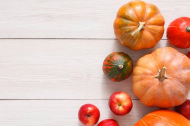 Sonbaharda hasat kabaklar arka plan kopya alanı ile