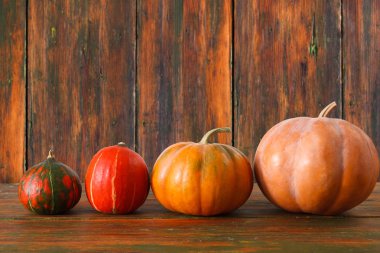 Güz pumpkins arka plan kopya alanı ile
