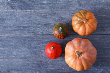 Güz pumpkins arka plan kopya alanı ile