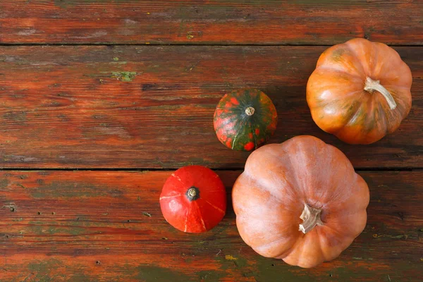Pumpkins on red wood background with copy space — Stock Photo, Image