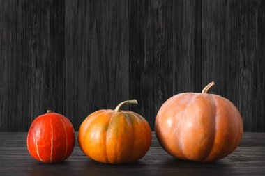 Güz pumpkins arka plan kopya alanı ile