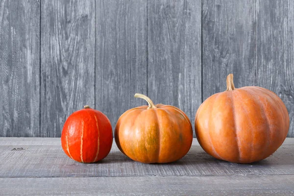 Güz pumpkins arka plan kopya alanı ile