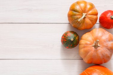 Sonbaharda hasat kabaklar arka plan kopya alanı ile