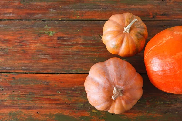 Güz pumpkins arka plan kopya alanı ile