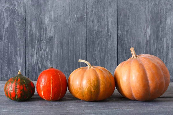 Güz pumpkins arka plan kopya alanı ile