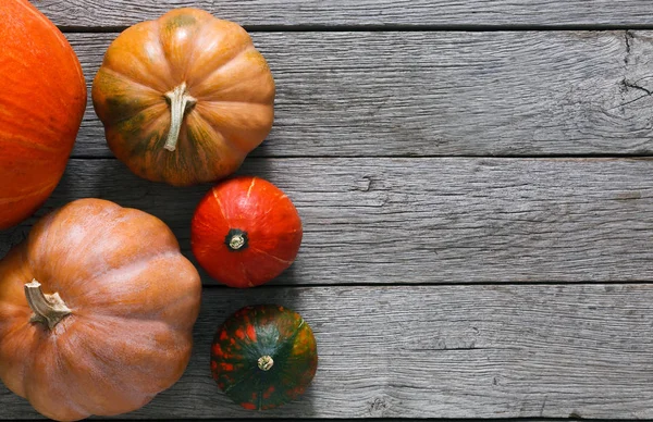 Calabazas sobre fondo de madera gris con espacio para copiar — Foto de Stock