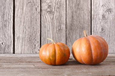 Güz pumpkins arka plan kopya alanı ile