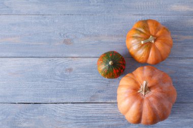 Kopya alanı mavi ahşap zemin üzerine kabaklar