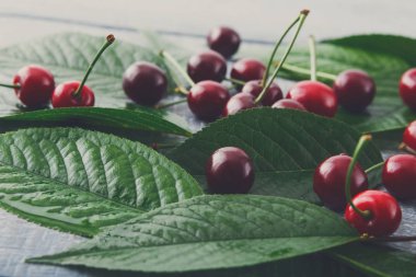 Taze kiraz closeup mavi rustik ahşap üzerine yeşil yaprakları ile
