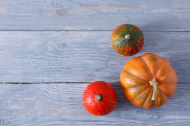 Güz pumpkins arka plan kopya alanı ile