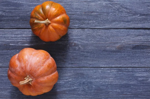 Güz pumpkins arka plan kopya alanı ile